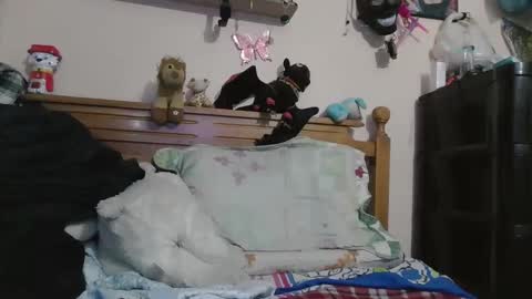 luismiastarot online show from 10-28-25, 01:53