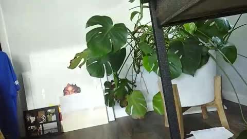 Luke online show from 03-15-26, 07:31