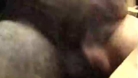 lukestarfckr online show from 10-09-25, 09:40