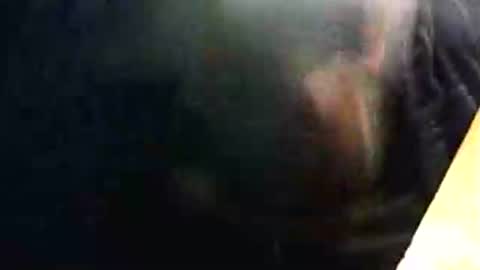 lukestarfckr online show from 02-15-26, 09:33