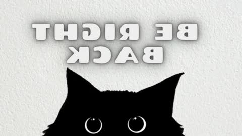 elizabeth online show from 03-06-26, 12:18