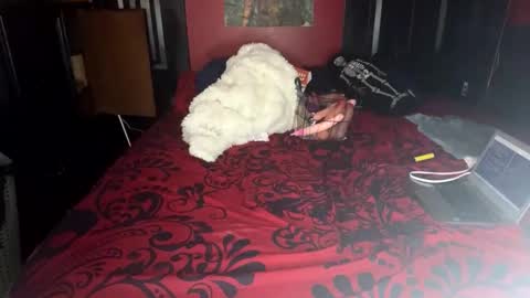 Snapshot of lulu_only_fans chatting on 02-14-25, 04:09 Lulu online show from 02-14-25, 04:09