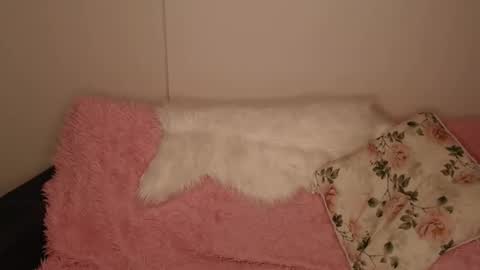 Snapshot of luna_moon77 chatting on 12-20-25, 02:35 Luna online show from 12-20-25, 02:35