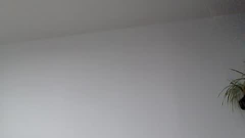 Lupine online show from 09-17-25, 08:38