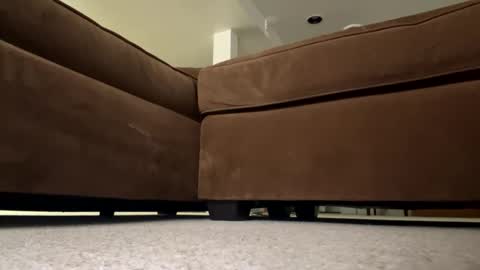 luv_2_master_bate online show from 09-23-25, 07:06