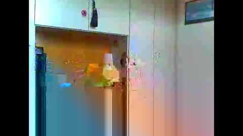 luxx72boy online show from 01-11-25, 09:47