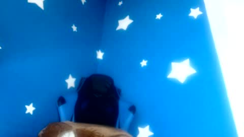 Snapshot of luzzy_cam chatting on 07-06-26, 03:03 luzzy I hope your visit and that we manage to get very hot online show from 07-06-26, 03:03