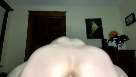 lyle blue online show from 02-07-26, 09:35