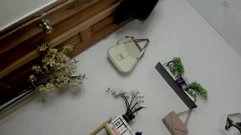 Snapshot of m1ssjanelana69 chatting on 02-13-26, 12:50 Janelovesu online show from 02-13-26, 12:50