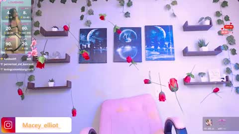 Macey Elliot Modelo Independiente online show from 02-26-25, 07:16