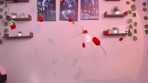 Macey Elliot Modelo Independiente online show from 03-01-25, 02:02