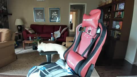 machinecumkelly69 online show from 09-21-25, 06:09