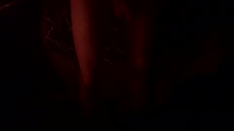 Snapshot of macsammacfuck833109 chatting on 10-31-25, 10:49 slyshyguy69 online show from 10-31-25, 10:49