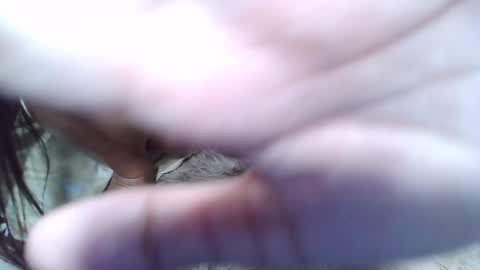 Snapshot of maegold69 chatting on 01-23-25, 01:24 maegold69 online show from 01-23-25, 01:24