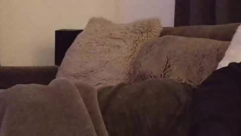 magic_passionitaliano online show from 03-03-26, 06:36