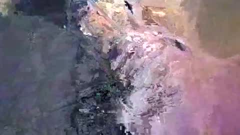 maho0 online show from 12-13-24, 07:36