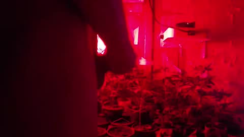 Snapshot of maicom222 chatting on 10-12-25, 02:43 SILVA online show from 10-12-25, 02:43