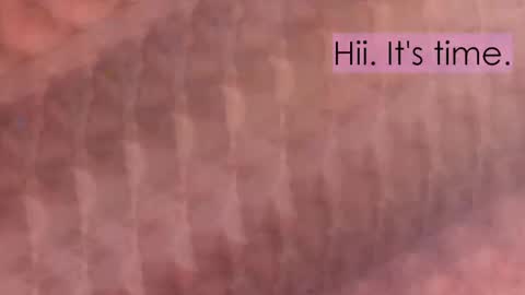 maitte_angel online show from 04-02-26, 12:03