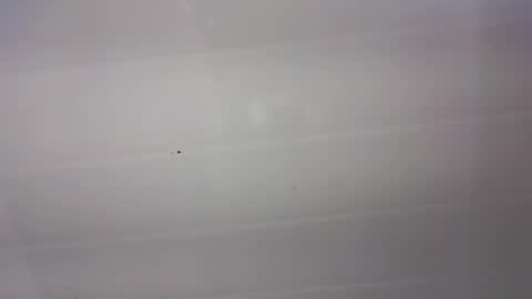 malen_fitnessmilf online show from 03-22-26, 11:02