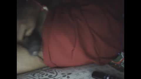 Snapshot of mallik63040 chatting on 02-24-25, 06:04 Sree0703 online show from 02-24-25, 06:04