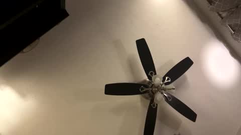 Snapshot of man4limitlessfun chatting on 11-21-25, 09:19 Kaleb online show from 11-21-25, 09:19