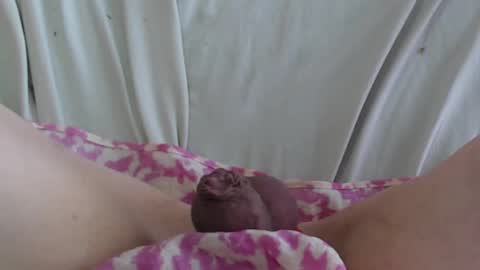 Snapshot of manclitpatsy chatting on 02-22-25, 05:35 .. .. online show from 02-22-25, 05:35