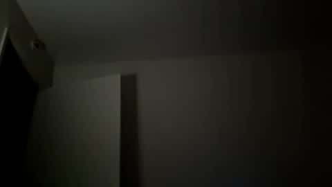Jan and Man online show from 05-20-26, 04:51