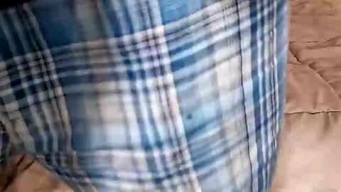 Dickinabox online show from 09-14-25, 09:47