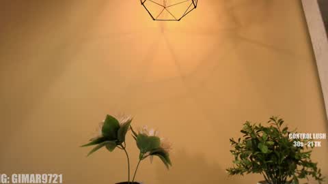 Marcela online show from 09-11-25, 12:00