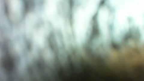 Marc online show from 03-26-26, 02:28