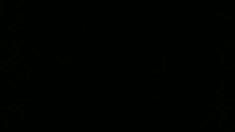 Elle online show from 02-25-26, 04:49