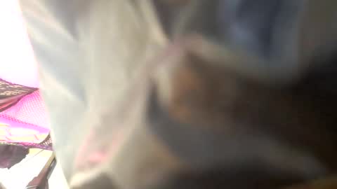 Snapshot of maria666cd chatting on 10-04-25, 08:45 Maria Magdalena online show from 10-04-25, 08:45