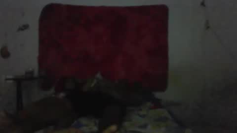 casal delicia online show from 02-01-26, 09:13