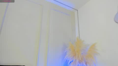 Maria Pettit online show from 11-25-25, 11:32