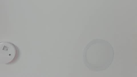 Maria Pettit online show from 02-18-26, 11:17