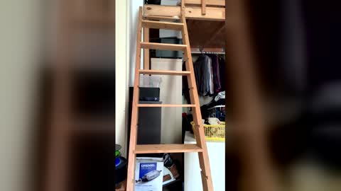 mario_gasm online show from 05-20-26, 01:50