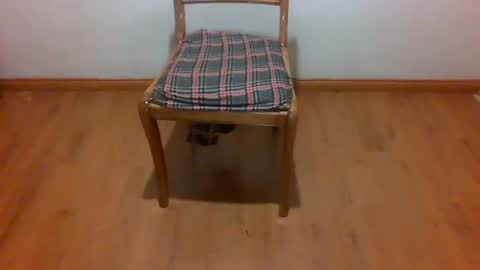 Snapshot of maripaula369 chatting on 02-22-25, 03:23 Maripaula369 online show from 02-22-25, 03:23