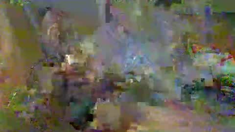 markhage online show from 12-31-24, 06:46