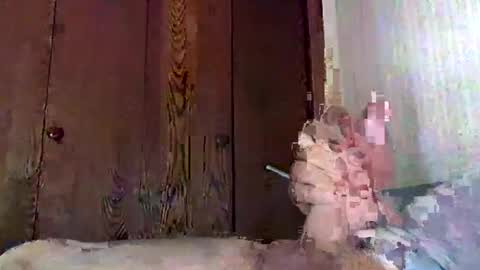 Snapshot of marmiles58 chatting on 09-20-25, 09:38 marmiles58 online show from 09-20-25, 09:38