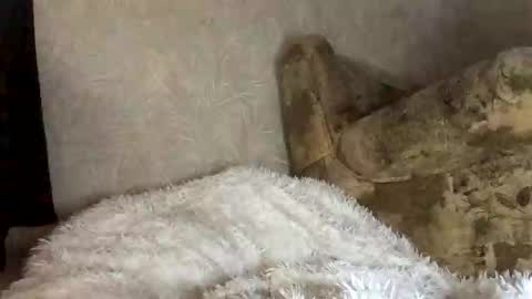 Snapshot of martaluna_ chatting on 11-27-25, 07:54 Marta online show from 11-27-25, 07:54