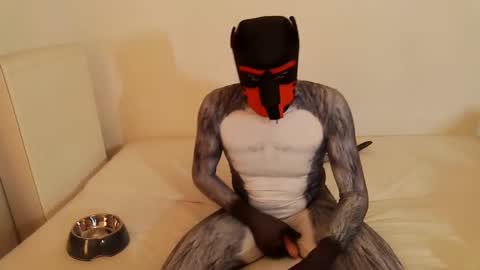 Snapshot of martin_ni chatting on 02-14-25, 11:53 martin_ni online show from 02-14-25, 11:53