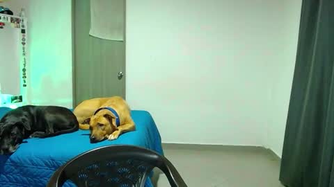 mary online show from 10-31-25, 02:12