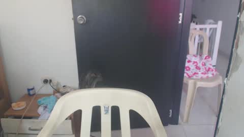 maryam_arabicmilk online show from 01-08-25, 03:07