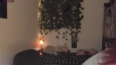 maria online show from 12-15-25, 07:51