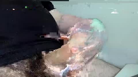 mas12345678910 online show from 12-01-24, 04:29