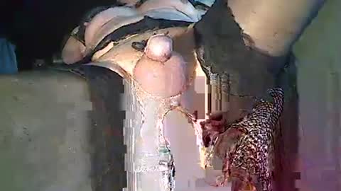 maschpro online show from 12-26-24, 02:37