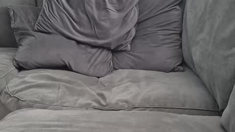 Lee online show from 09-24-25, 11:02