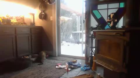 The Big Duurty online show from 02-15-25, 02:22