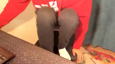 Snapshot of mastermiko chatting on 12-15-24, 08:15 Silly Rabbit online show from 12-15-24, 08:15