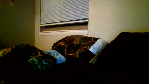 Snapshot of mastersquirter98 chatting on 01-12-25, 04:10 alex online show from 01-12-25, 04:10